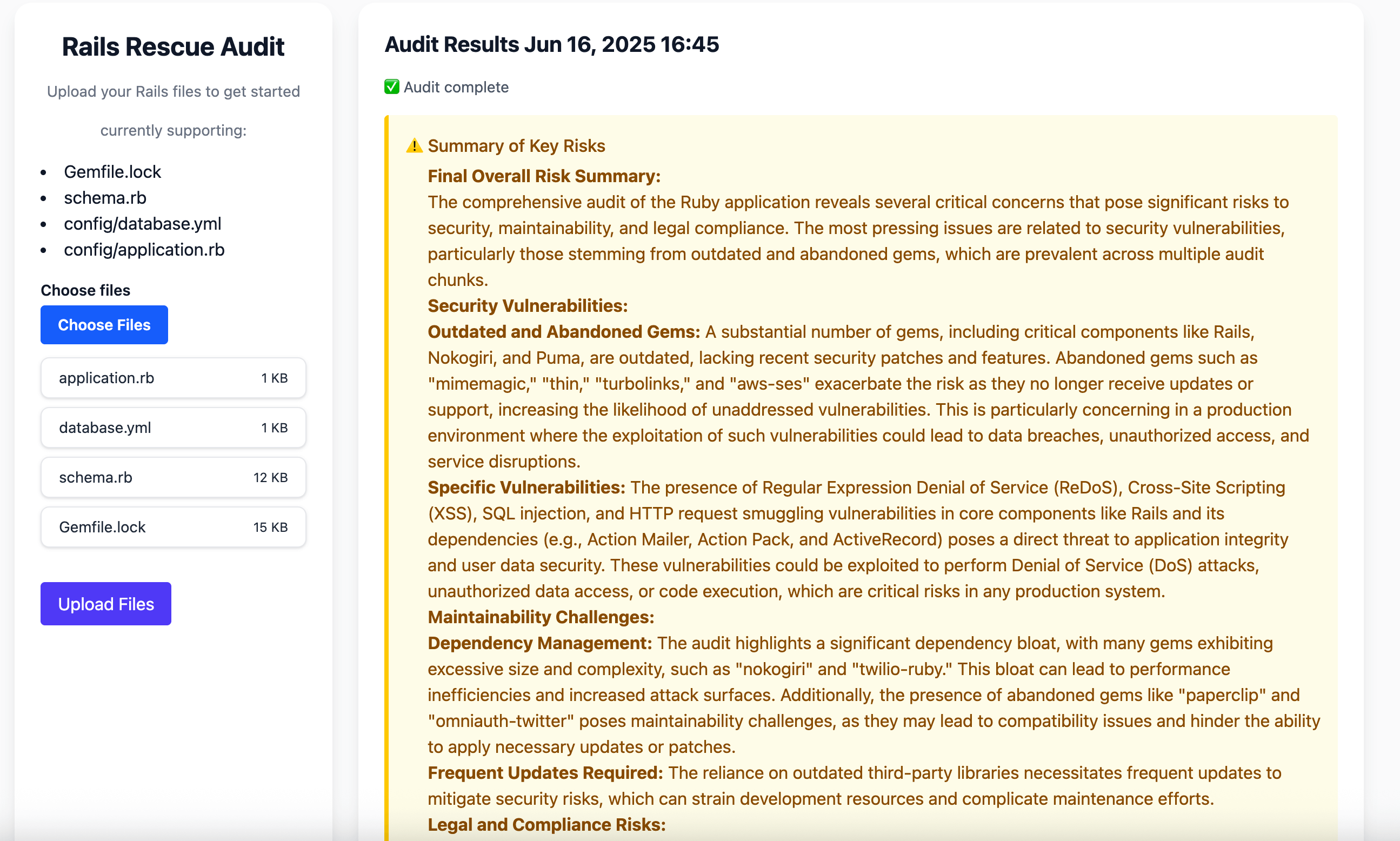 Rails Rescue Audit Screenshot